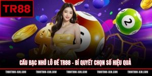 Cầu Bạc Nhớ Lô Đề TR88 - Bí Quyết Chọn Số Hiệu Quả